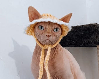 crochet hat for cat