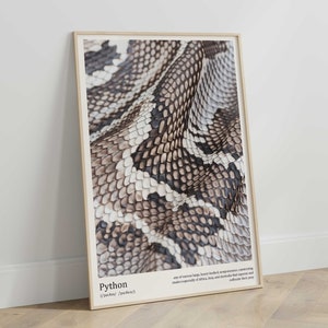 May include: Close-up of a python snake's skin, showing the intricate pattern of scales in shades of brown, beige, and white. The text "Python (/'paɪθɒn/ 'paɪθɑːn/)" is printed below the image.