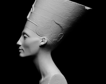 May include: A white plaster bust of an Egyptian queen wearing a traditional headdress. The bust is sculpted in a realistic style and shows the queen's face in profile.