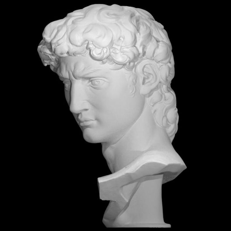 May include: White plaster bust of a man with curly hair. The bust is a replica of a classical sculpture.