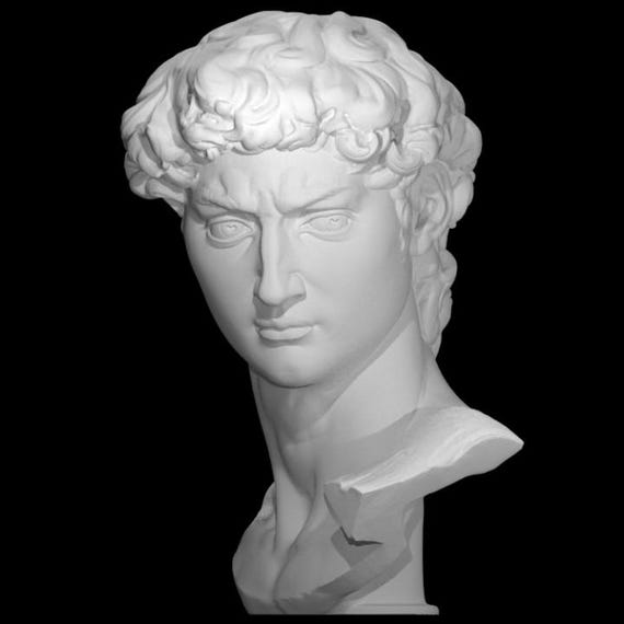 Michelangelo David STL - 3D Printable Bust for Art Lovers