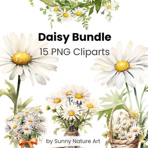 Paquete Daisy Clipart PNG, Descarga digital, Uso comercial, Acuarela floral, Transparente, Fabricación de tarjetas, Flor del mes de nacimiento de abril