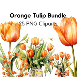 Oranje tulpen clipart bloembundel PNG, digitale download, voor commercieel gebruik, bloemenaquarel, transparant oranje boeket vaas mand ring