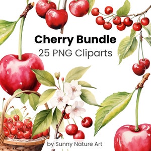 Kirschfrucht Clipart Bundle PNG, digitaler Download, für kommerzielle Nutzung, Obst Aquarell, transparente rote Kirschen