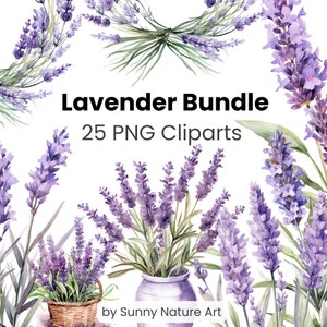 Lavendel clipart bloemenbundel, digitale download, commercieel gebruik, bloemenaquarel, transparante PNG, kaart maken