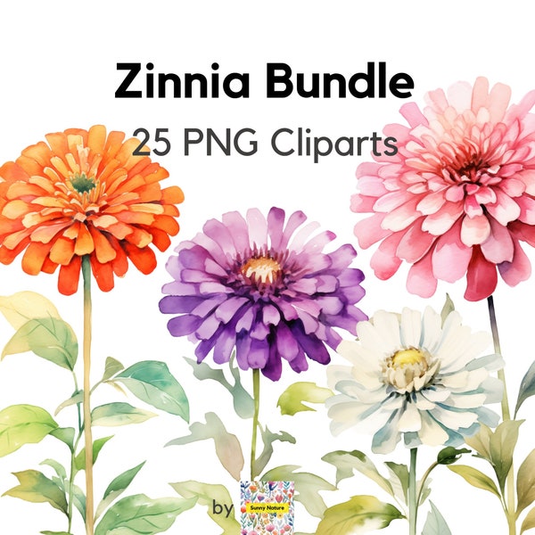 Zinnia Clipart Flower Bundle PNG, Digital Download, For Commercial Use File, Floral Watercolor, Transparent, Orange Pink Purple Red White