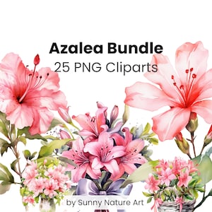 Azalea Clipart Flower Bundle PNG, Digital Download, For Commercial Use, Floral Watercolor, Transparent Azalea, Pink Flowers