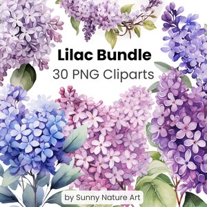 Paquete de flores lila clipart PNG, descarga digital, uso comercial, acuarela floral, transparente, color rosa azul blanco púrpura