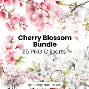 Kirschblüte Clipart Blumen Bundle PNG, digitaler Download, kommerzielle Nutzung, florales Aquarell, transparent, japanische Sakura, weiß, rosa