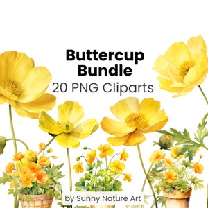 Butterblume, Clipart, Blume Bundle, PNG, digitaler Download, kommerzielle Nutzung, Floral Aquarell, transparent, gelb