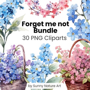 No me olvides Clipart Flower Bundle PNG,Descarga digital,Uso comercial,Acuarela floral,Transparente, Color rosa azul