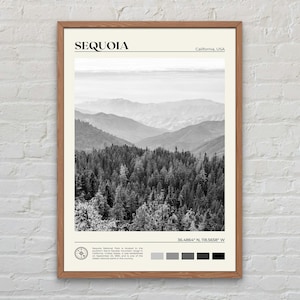 Black and White, Sequoia National Park Print, Sequoia Wall Art, Sequoia Poster, Sequoia Photo, Sequoia Poster Print, California Poster