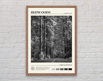 Black and White, Redwoods Print, Redwoods Wall Art, Redwoods Poster, Redwoods Photo, Redwoods Poster Print, Redwoods Decor, California