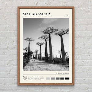 Black and White, Madagascar Print, Madagascar Wall Art, Madagascar Poster, Madagascar Photo, Madagascar Poster Print, Madagascar Decor