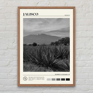 Black and White, Jalisco Print, Jalisco Wall Art, Jalisco Poster, Jalisco Photo, Jalisco Poster Print, Jalisco Wall Decor, Mexico Poster
