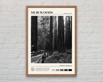 Zwart-wit, Muir Woods National Monument-print, Muir Woods-muurkunst, Muir Woods-poster, Muir Woods-foto, Muir Woods-decor, Californië