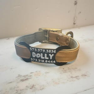 Personalized 3d Custom Dog or Cat Collar Name Tag.