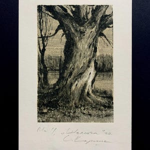 Op de afbeelding: Een zwart-witte print van een boomstam met een ruwe schorstextuur. De print is gesigneerd met "Nr. 11, "Lezenwa" 420. C. Kaprounek".