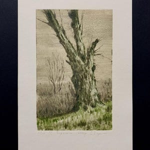 Puede incluir: Una impresión en blanco y negro de un árbol con un tronco grueso y ramas. El árbol está sobre un fondo gris claro. La impresión está firmada "Ed. 1/1. Espressore corp. L. Espressore".