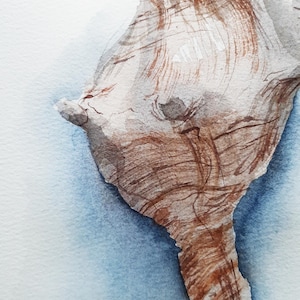 Handgemaakte zeeschelp-aquarel: 7 x 10 inch realistische mariene muurkunst voor kustdecor