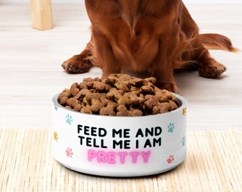 Funny Pet Bowl for Dogs and Cats