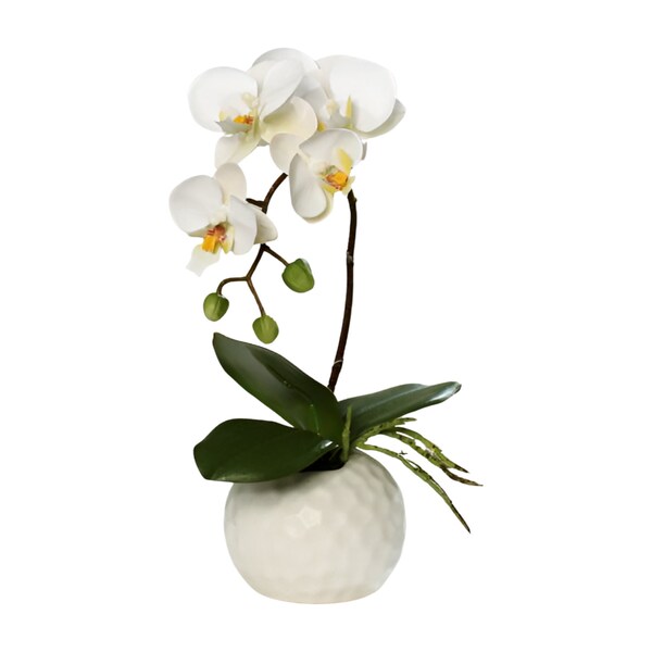 Charmante orchidée artificielle de 33 cm de haut dans un élégant vase en céramique - parfaite pour les intérieurs élégants