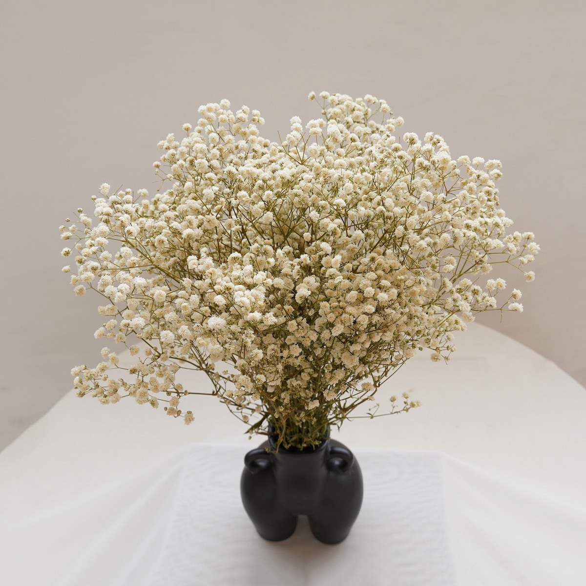 Nature Baby's Breath Preserved Flowers,diy Craft Supply,home Decor,wedding Flowers Decor - Etsy
