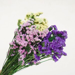 Peut inclure: Un bouquet de fleurs de statice séchées dans des tons de violet, rose et jaune. Les fleurs sont disposées en dégradé, avec les fleurs violettes en bas, les fleurs roses au milieu et les fleurs jaunes en haut.