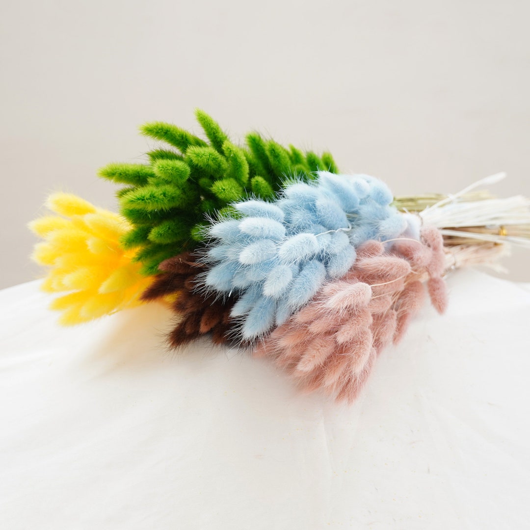 Rabbit Tail Dried Flower, Bunny Tail Wedding Flower Arrangement,dried ...