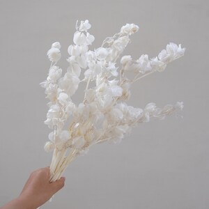 Trockenblumenstrauß, Trockenblumen, Straußdekoration, Hochzeitsdekoration, Vasenfüllung, Bastelbedarf