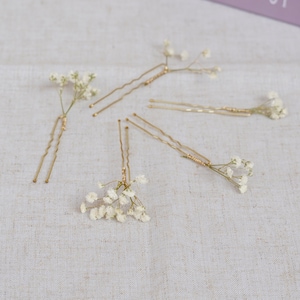 Getrocknete Blume Kleine Haarnadel, Braut und Brautjungfer Haarschmuck, Schleierkraut Haarnadel