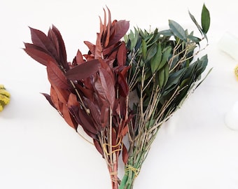 May include: A bunch of dried leaves, some are a deep red color and some are a dark green.