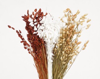 May include: A bouquet of dried grasses in shades of brown, white, and beige. The grasses are arranged in a fan shape and tied together with a gold ribbon.