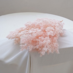 May include: A bunch of pale pink dried pampas grass on a white surface.