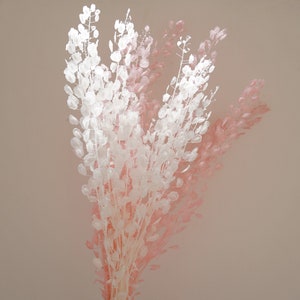 May include: A digitally enhanced image of a bouquet of white and pink flowers. The flowers have a delicate, translucent appearance, with a soft, blurred effect. The background is a solid, muted beige color, creating a minimalist aesthetic.