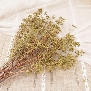 Dried Eucalyptus Fruit Branches: Natural Wedding Flower Decor Home Decoration
