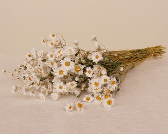 Ramo de margaritas naturales, suministro artesanal de bricolaje, decoración del hogar, decoración de flores de boda