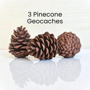 May include: Three brown pinecone geocaches are displayed on a white surface. The geocaches are made to look like real pinecones. The text "3 Pinecone Geocaches" is above the pinecones.