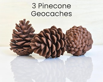 3 Pinecone Geocache Container Set ready to hide Caches Creative Geocaching Gift for Geocacher