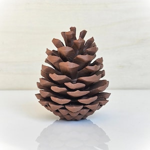 Cadeau réaliste de conteneur de géocache Pinecone pour un ami géocacheur cadeau d'anniversaire pour un événement de géocaching prix pour une cachette souvenir d'aventure