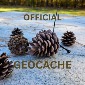 Puede incluir: Un letrero de madera rústica con el texto "Welcome to our home" en letras blancas. El letrero presenta un acabado envejecido y un diseño sencillo y acogedor.