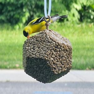 Wilder Vogel Samen Kuchen Feeder Sonnenblume Herzen Vogel Liebhaber Geschenk