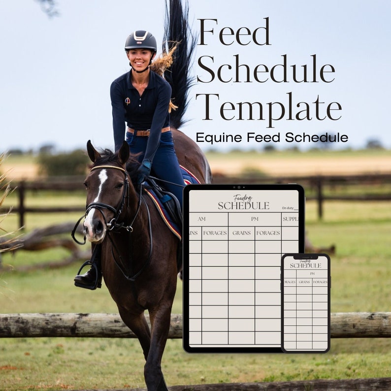Horse Feeding Schedule Etsy