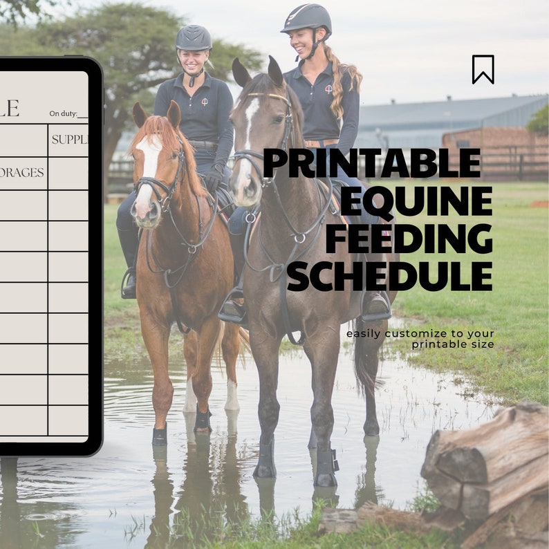 Horse Feeding Schedule Etsy