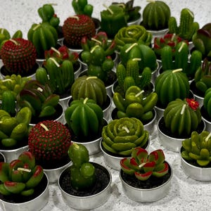 Bulk Mini Succulent Favor Tealight Candle Wedding Bridal Shower Decor Baby Shower Cactus Plant Lover Gift Employee Appreciation Tea Light