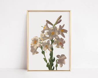 vintage easter decor | floral printable wall art | spring home decor | easter wall art | antique lily print | flower art | digital download