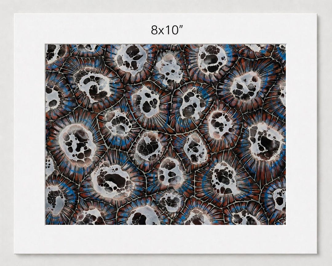 Petoskey Stone Pattern Print of Original Encaustic Painting With White ...
