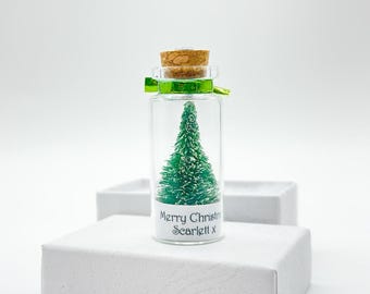Personalised Merry Christmas Miniature Christmas Tree in a bottle Keepsake gift