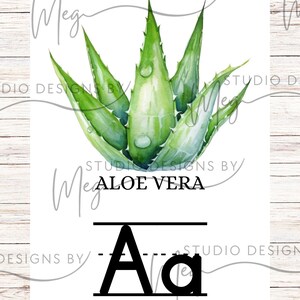 Cartes aux lettres végétales en aquarelle et bois - téléchargement numérique