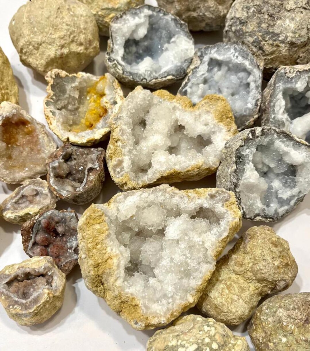 Quartz Rattler Unopened Guaranteed Hollow Rattler Geode 3”-3.50” | Natural Crystal ...